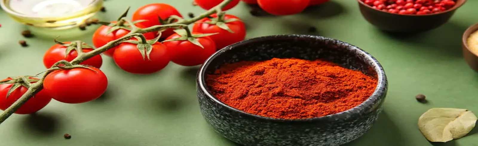 import export business in india