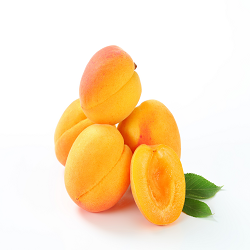 import and export business in chennai