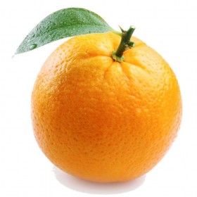 import export in chennai