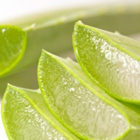 best export business in Chennai
